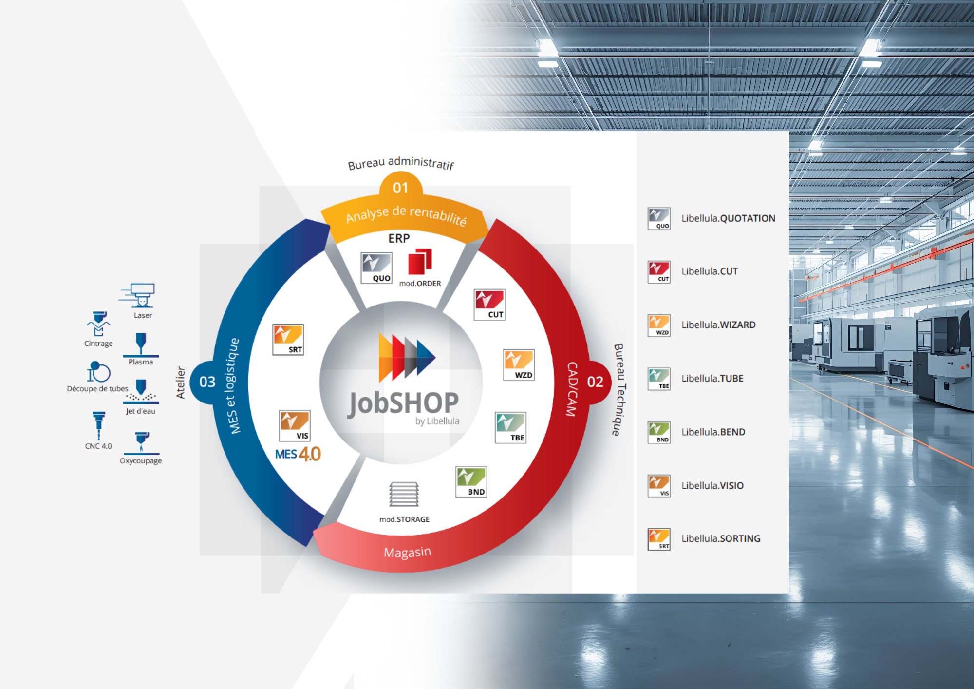 Libellulalibellula_photo