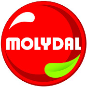 logo MOLYDAL